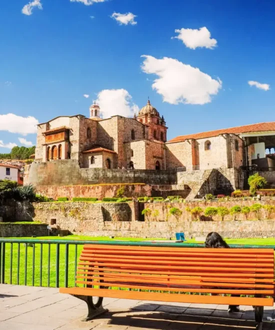 Vive Travel Tours