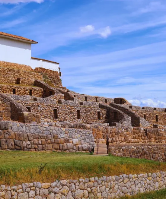 Vive Travel Tours