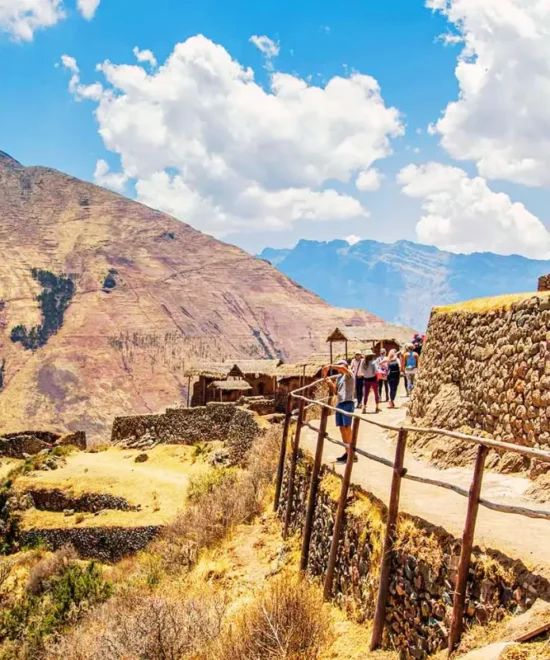 Vive Travel Tours
